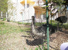 P1520067