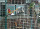 P1520076