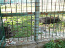 P1520090