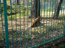 P1520096