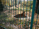 P1520097