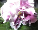 DSC00446