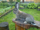 MASCUL APRILIE-2011-Bello