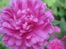IMG_8502