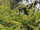 DSCN0307