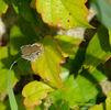 DSCN0266