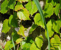 DSCN0267