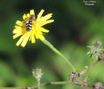 DSCN0446