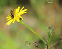DSCN0447