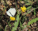 DSCN0457