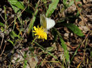 DSCN0459