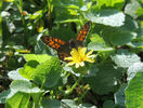 DSCN0607