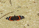 DSCN0621