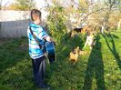 chitaristul si spectatorii