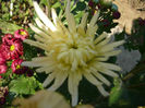 P1050286