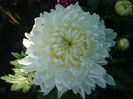 P1050268