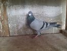 IMAG0356