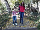 IMG_20131027_141543