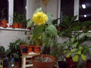 DSCN0030