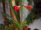 DSCN0033