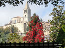 DSCN0547