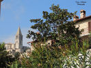 DSCN0557
