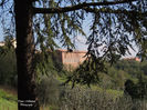 DSCN0566