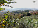 DSCN0586