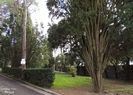 DSCN0690