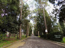 DSCN0691