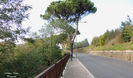 DSCN0702