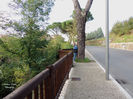 DSCN0703