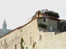 DSCN0709