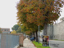 DSCN0714