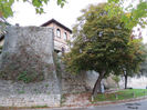 DSCN0730