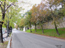 DSCN0731