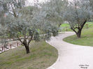 DSCN0732