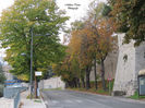 DSCN0736