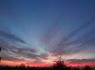 DSC00788