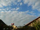 DSCN6531