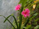 DSCN6569