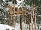 cabin-on-stilts