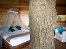 huts-in-the-trees4