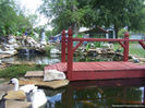 Koi Fish Pond From Tennessee