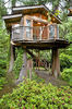 The-Most-Beautiful-Tree-House-in-The-World