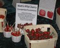 matts-wild-cherry