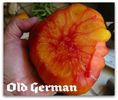 old german