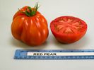 Red_Pear