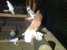 Picture 032