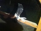 Picture 033